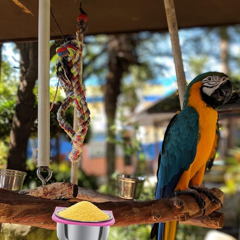 وعاء طعام الببغاء ومجموعة كوب التغذية مع الحامل للطيور الأليفة الصغيرة والكبيرة - Image 4